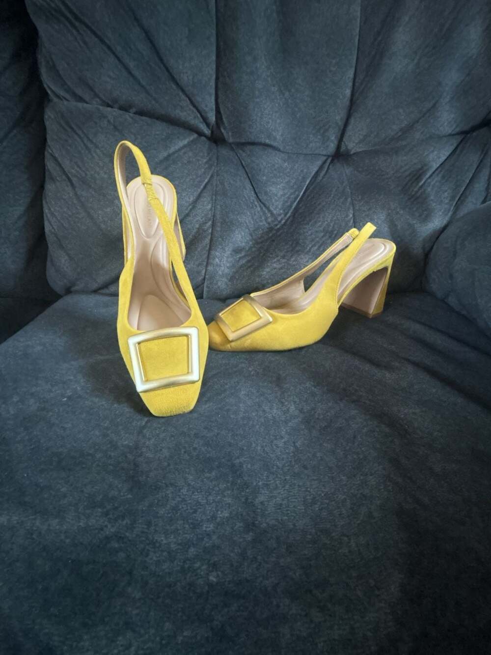 Antonio Melani Elisa Suede Slingback Block Heel Pumps with Square Buckle